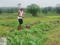 इको पर्यटन के साथ कृषि पर्यटन को जोड़ने वन विभाग की पहल