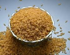 भारत में प्रोटीन युक्त डिजाइनर चावल का विकास: डायबिटीज और कुपोषण का समाधान