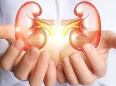 किडनी को साफ करने के प्राकृतिक तरीके, इन चीजों से करें गुर्दे की सफाई