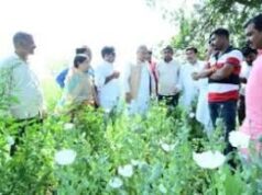 10 एकड़ में अफीम, दुर्ग पहुंचकर भूपेश के BJP पर ताबड़तोड़ सवाल