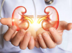 किडनी की सुरक्षा और किडनी रोग के खतरे को कम करने के 5 प्राकृतिक तरीके