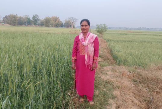 रसायन मुक्त खेती से अनिमा खेस्स ने रची नई इबारत, बनीं अन्य किसानों के लिए प्रेरणा