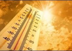 भीषण गर्मी से बेहाल प्रदेश, 44.5°C पहुंचा पारा; कुछ जिलों में बारिश से मिली राहत