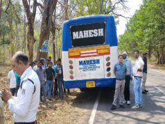 गरियाबंद में बड़ी कार्रवाई: 4 बसों पर गिरी गाज, यातायात पुलिस ने काटे चालान