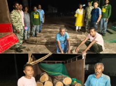 वन विभाग की बड़ी कार्रवाई,वाहन सहित सागौन लकड़ी जब्त