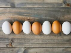 कौन सा अंडा देगा ज्यादा ताकत? सफेद vs ब्राउन एग की पूरी सच्चाई