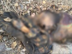 बालोद के गंजडीह में लाश मिलने से सनसनी, पुलिस जुटी जांच में