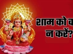 शाम की ये 3 छोटी आदतें बदल देंगी घर की ऊर्जा, मां लक्ष्मी का होगा आगमन