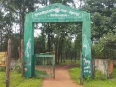 वन विभाग की लापरवाही उजागर, हाथी के हमले में युवक की जान गई