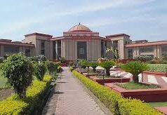 आईवीएफ के लिए उम्र की सीमा नहीं, हाई कोर्ट ने संतान के लिए चिकित्सक को IVF शुरू करने का दिया निर्देश