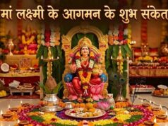 घर में दिख रहे हैं ये शुभ संकेत? समझ जाइए मां लक्ष्मी की होने वाली है कृपा वर्षा!