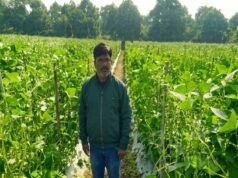 उद्यानिकी की आधुनिक तकनीकों से किसान महेश कश्यप की बदली तकदीर
