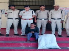 खेतों में लहरा रहे थे गांजे के पौधे: मुखबिर की सूचना पर हुआ पर्दाफाश, एक आरोपी गिरफ्तार