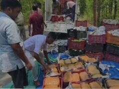 जशपुर में नशे के कारोबार पर बड़ा प्रहार, पिकअप से बरामद हुआ 2 क्विंटल गांजा