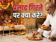 भगवान को चढ़ाया प्रसाद जमीन पर गिर जाए तो क्या करें? जानें बचाव के उपाय