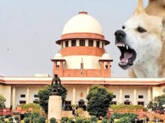 सुप्रीम कोर्ट सख्त: खतरनाक और रेबीज संक्रमित कुत्तों को दिया जा सकता है मौत का इंजेक्शन