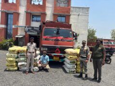 महासमुंद में नशे पर बड़ी चोट: 600 किलो गांजा पकड़ा, महाराष्ट्र ले जाया जा रहा था माल
