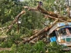 ट्रक पर पेड़ गिरने से जगदलपुर-सुकमा हाइवे पर यातायात थमा, वाहनों की लगी लंबी कतार…