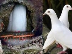 अमरनाथ गुफा का रहस्य: दो कबूतरों की दिव्य कथा, जिसे देखना माना जाता है मोक्ष का संकेत