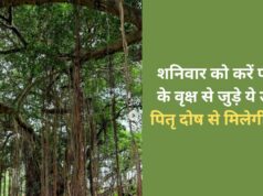 पीपल के ये 4 उपाय दिलाएंगे पितृ कृपा, दूर होंगे संकट और चमकेगा भाग्य