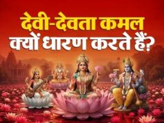 हिंदू धर्म में कमल का महत्व: आखिर क्यों माता लक्ष्मी और ब्रह्मा से जुड़ा है यह पवित्र पुष्प?