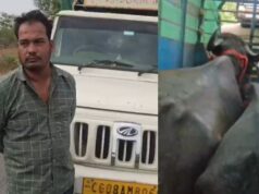 डोंगरगढ़ में पशु परिवहन के नाम पर वसूली का खेल! चालक को पीटा, मालिक से मांगे 1 लाख रुपये