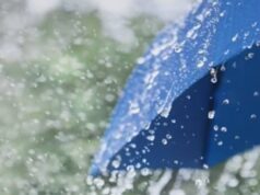 CG Weather Update: छत्तीसगढ़ में बरसे मेघ, अगले 5 दिनों तक बारिश के आसार