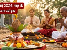 चातुर्मास, जगन्नाथ रथयात्रा से लेकर गुरु पूर्णिमा तक, जुलाई 2026 में कब आएंगे कौन से व्रत-त्योहार, देखिए पूरी लिस्ट