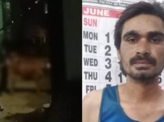 बिलासपुर: गौवंश से कथित दुष्कर्म के आरोप में युवक गिरफ्तार, न्यायिक रिमांड पर भेजा गया