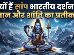 देवी-देवताओं के साथ क्यों दिखाया जाता है नाग? जानें सनातन धर्म का गहरा रहस्य