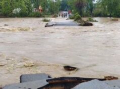 छत्तीसगढ़ में मूसलाधार बारिश का असर, गरियाबंद का कुसुमबोड़ा पुल ढहा, आवाजाही ठप