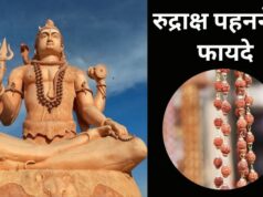 रुद्राक्ष पहनने से पहले जान लें ये जरूरी नियम, तभी मिलेगी भगवान शिव की कृपा