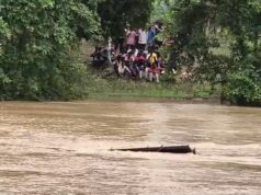 बलौदाबाजार में दर्दनाक हादसा, उफनते नाले में समाई बिजली विभाग की पिकअप, एक कर्मचारी लापता