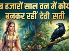 Kokila Vrat 2026: 28 जुलाई को कोकिला व्रत, जानें माता सती के कोयल बनने की कथा, व्रत का महत्व और पूजा विधि