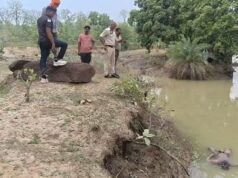महासमुंद-राजिम मार्ग पर मिला सड़ा-गला शव, हत्या या हादसा? जांच में जुटी पुलिस