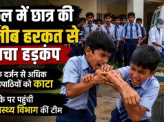 धमतरी: छात्र के काटने से 12 से ज्यादा बच्चे घायल, जिला अस्पताल में इलाज और जांच जारी