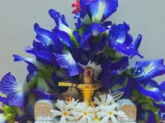 सावन 2026: महादेव को चढ़ाएं अपराजिता का फूल, खुल सकते हैं धन लाभ और तरक्की के रास्ते