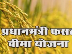 फसल बीमा को लेकर प्रशासन की बड़ी अपील, अंतिम तिथि से पहले करें आवेदन