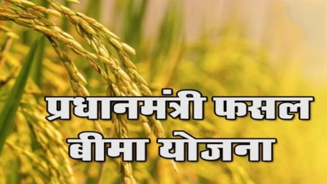 WhatsApp Image 2026-07-21 at 12.00.58 PM