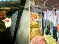 बालोद में कृषि विभाग का बड़ा छापा! अवैध कृषि सामग्री से भरा गोदाम सील, भारी मात्रा में सामान और मशीनें जब्त