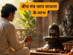 एकादशी पर तुलसी के सामने करें इन मंत्रों का जाप, धन-दौलत से भर जाएगा घर! जानें सही विधि और नियम
