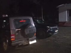 बाघ की खाल की तस्करी का बड़ा खुलासा! सूरजपुर में WCCB की छापेमारी, 3 संदिग्ध हिरासत में