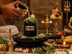 सावन सोमवार पर राशि अनुसार करें ये खास उपाय, महादेव की कृपा के साथ खुल सकते हैं तरक्की के रास्ते