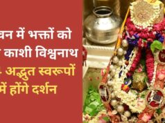 सावन में बाबा विश्वनाथ का अद्भुत श्रृंगार, हर सोमवार दिखेगा अलग दिव्य स्वरूप