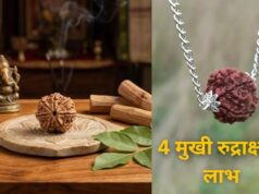 4 मुखी रुद्राक्ष की ये खासियत नहीं जानते होंगे आप, पढ़ाई, बिजनेस और नौकरी में तरक्की के लिए करें ये उपाय!