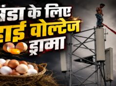 हाई वोल्टेज ड्रामा: खाने में नहीं मिला अंडा, तो टावर पर चढ़ गया सिरफिरा युवक
