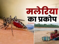 मलेरिया का प्रकोप: स्वास्थ्य सेवाओं का अभाव, इलाज के लिए उफनती नदी पार करने को मजबूर ग्रामीण
