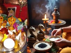 नाग पंचमी पर कर लें ये आसान उपाय, कालसर्प दोष का हो सकता है निवारण; जानें पूजा के खास नियम
