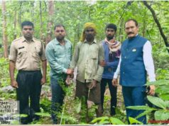 बालोद में वन विभाग की बड़ी कार्रवाई, जंगल में जाल बिछाकर शिकार की फिराक में था शिकारी; मौके से दबोचा