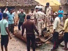 उदंती-सीतानदी टाइगर रिजर्व की बड़ी कार्रवाई, ओडिशा में सागौन तस्करी के ठिकानों पर छापा